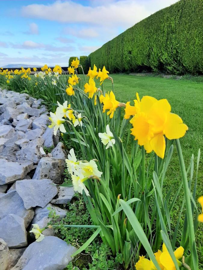 Bunratty Haven Bed & Breakfast Luaran gambar
